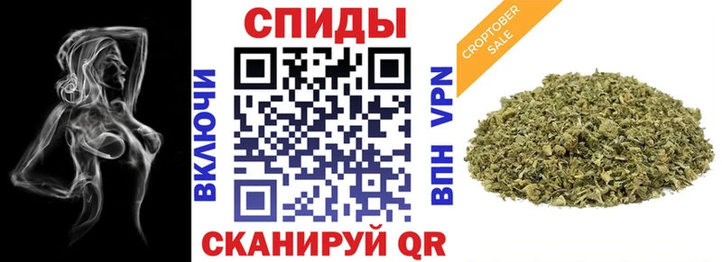 купить   Хадыженск  Бутират буратино 