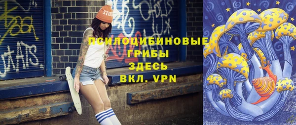 гидропоника Абаза