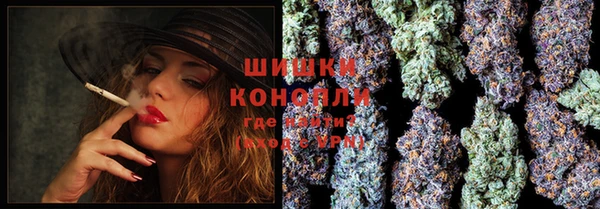 гидропоника Абаза