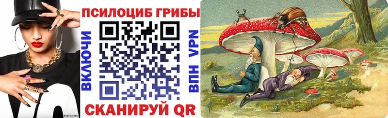 Псилоцибиновые грибы Psilocybe  Хадыженск 
